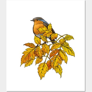 European robin on a tree Posters and Art